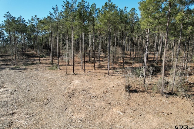 TBD-D County Road 3198, Mount Enterprise, TX 75681