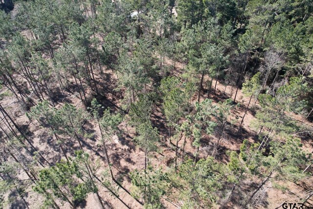 TBD-D County Road 3198, Mount Enterprise, TX 75681