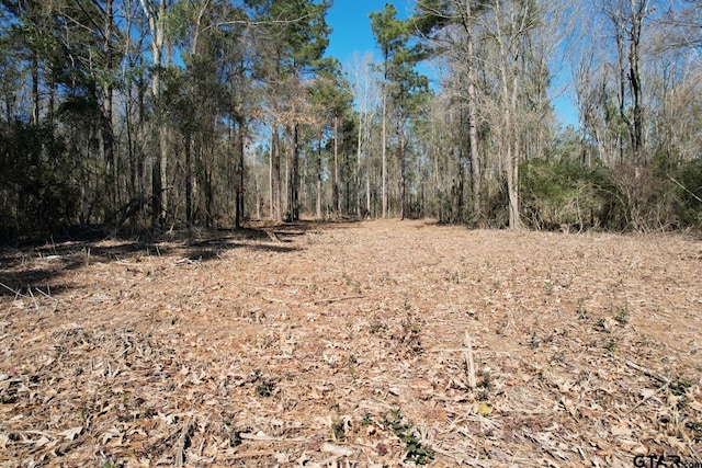 TBD-D County Road 3198, Mount Enterprise, TX 75681