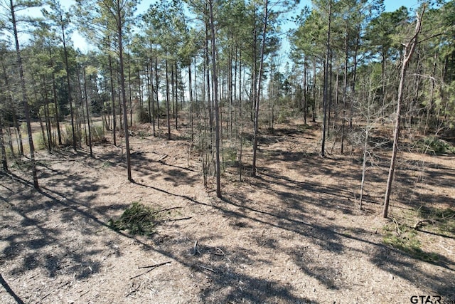 TBD-D County Road 3198, Mount Enterprise, TX 75681