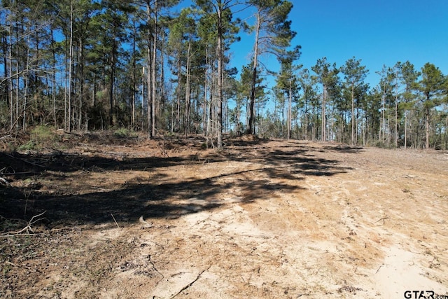TBD-D County Road 3198, Mount Enterprise, TX 75681