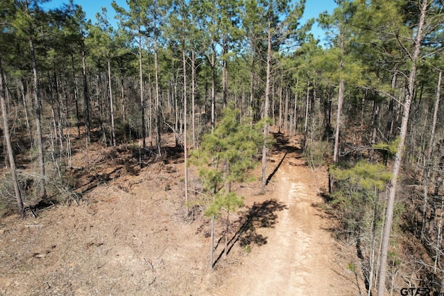 TBD-D County Road 3198, Mount Enterprise, TX 75681