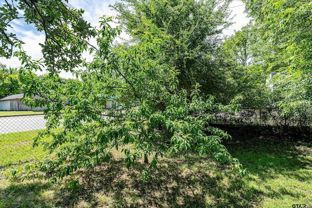 700 S Pacific St, Mineola, TX 75773 - photo 19