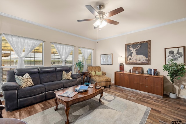 5401 Hollytree Dr, Tyler, TX 75703 - living room featuring ornamental molding, a ceiling fan, and dark wood finished floors