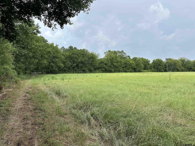 Listing photo 2 for 3697 An County Road 309, Frankston TX 75763