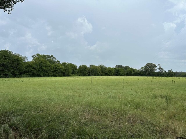 3697 An County Road 309, Frankston TX, 75763 land for sale