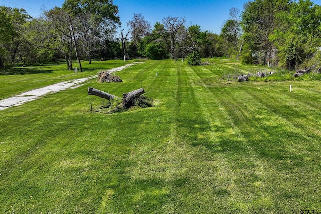 view of community with a yard