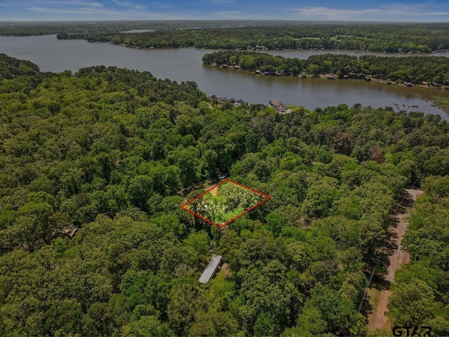 364 San Saba Ln, Mount Vernon, TX 75457 - birds eye view of property with a water view and a view of trees