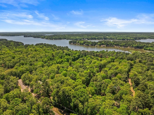 364 San Saba Ln, Mount Vernon, TX 75457 - drone / aerial view with a wooded view and a water view