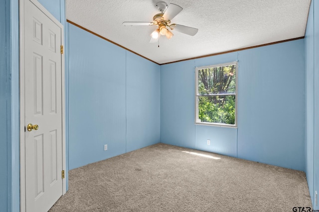 364 San Saba Ln, Mount Vernon, TX 75457 - carpeted spare room with ornamental molding, a ceiling fan, and a textured ceiling