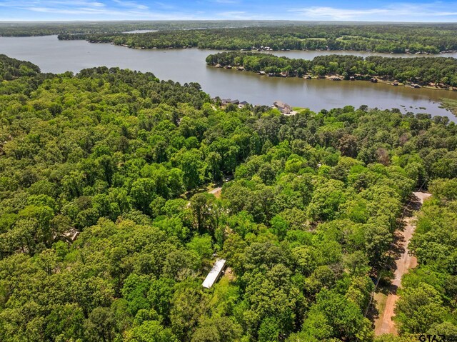 364 San Saba Ln, Mount Vernon, TX 75457 - aerial view with a wooded view and a water view