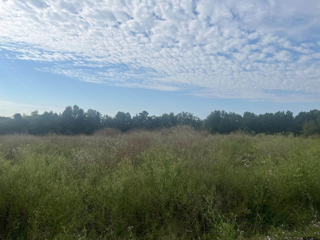 TBD Mrytle Dr, Jacksonville, TX 75766 - photo 8