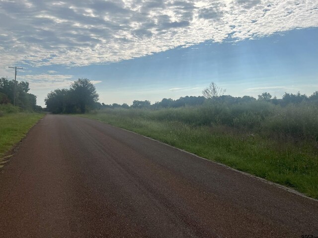 TBD Mrytle Dr, Jacksonville, TX 75766 - photo 4