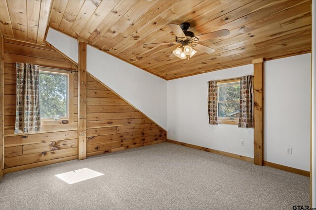 11698 Piper Ln, Frankston, TX 75763 - additional living space featuring wood ceiling, healthy amount of natural light, carpet flooring, a ceiling fan, and wood walls