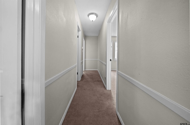 corridor featuring baseboards and carpet flooring
