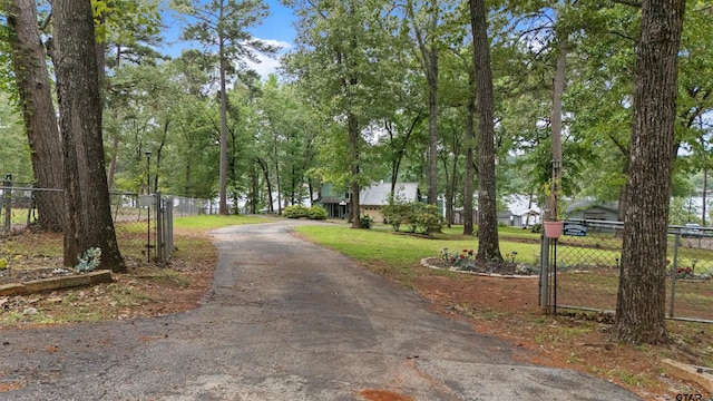 view of street with aphalt driveway