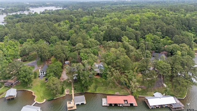 drone / aerial view with a water view and a view of trees