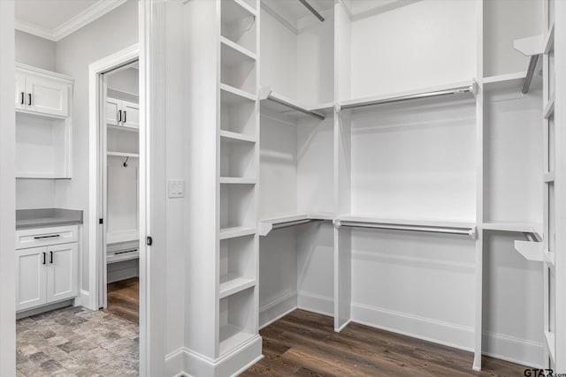 walk in closet featuring dark hardwood / wood-style floors