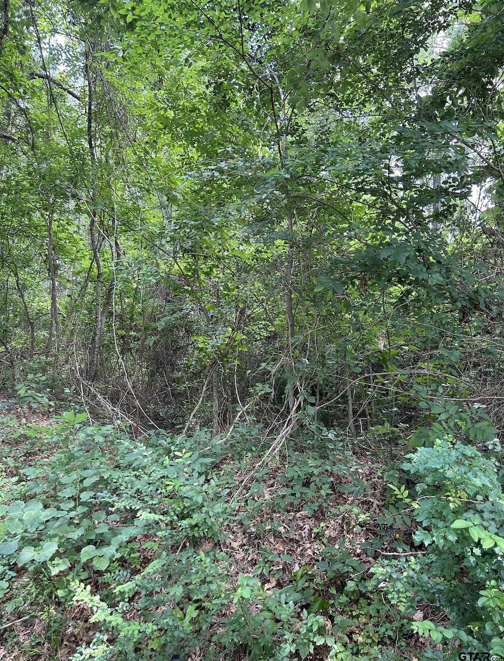 467 Williams St, Rusk, TX 75785