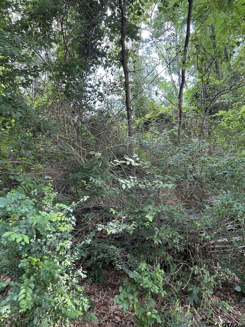 467 Williams St, Rusk, TX 75785