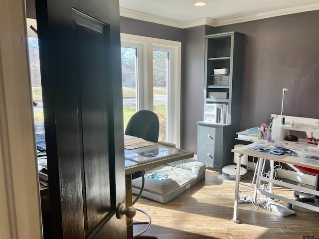 office space featuring crown molding, a healthy amount of sunlight, and light wood-type flooring