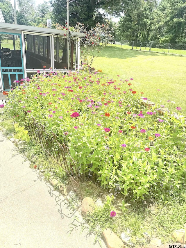 668 Omaha Dr, Omaha, TX 75571 - view of yard