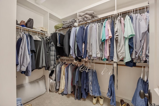 spacious closet with carpet floors