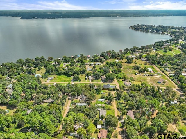 21187 Kristen Dr, Chandler, TX 75758 - aerial view of a nearby body of water
