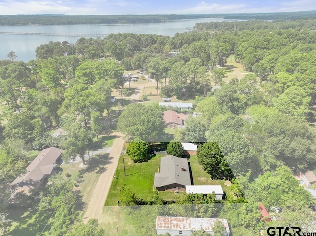 21187 Kristen Dr, Chandler, TX 75758 - bird's eye view of a nearby body of water