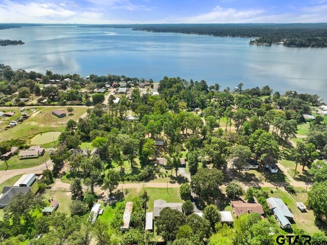 21187 Kristen Dr, Chandler, TX 75758 - aerial perspective of suburban area with a large body of water