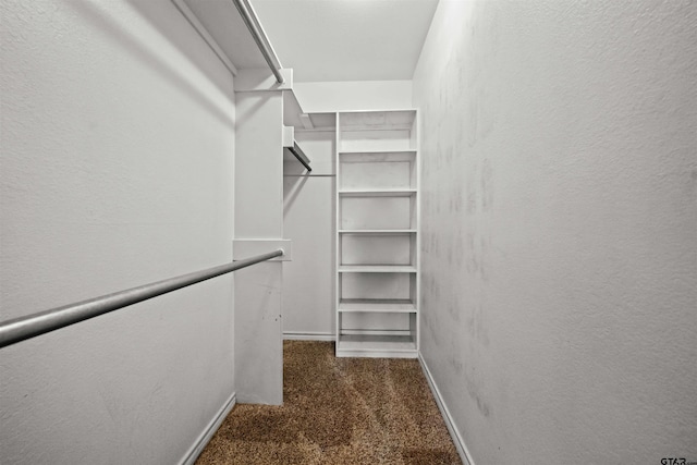 walk in closet featuring dark carpet