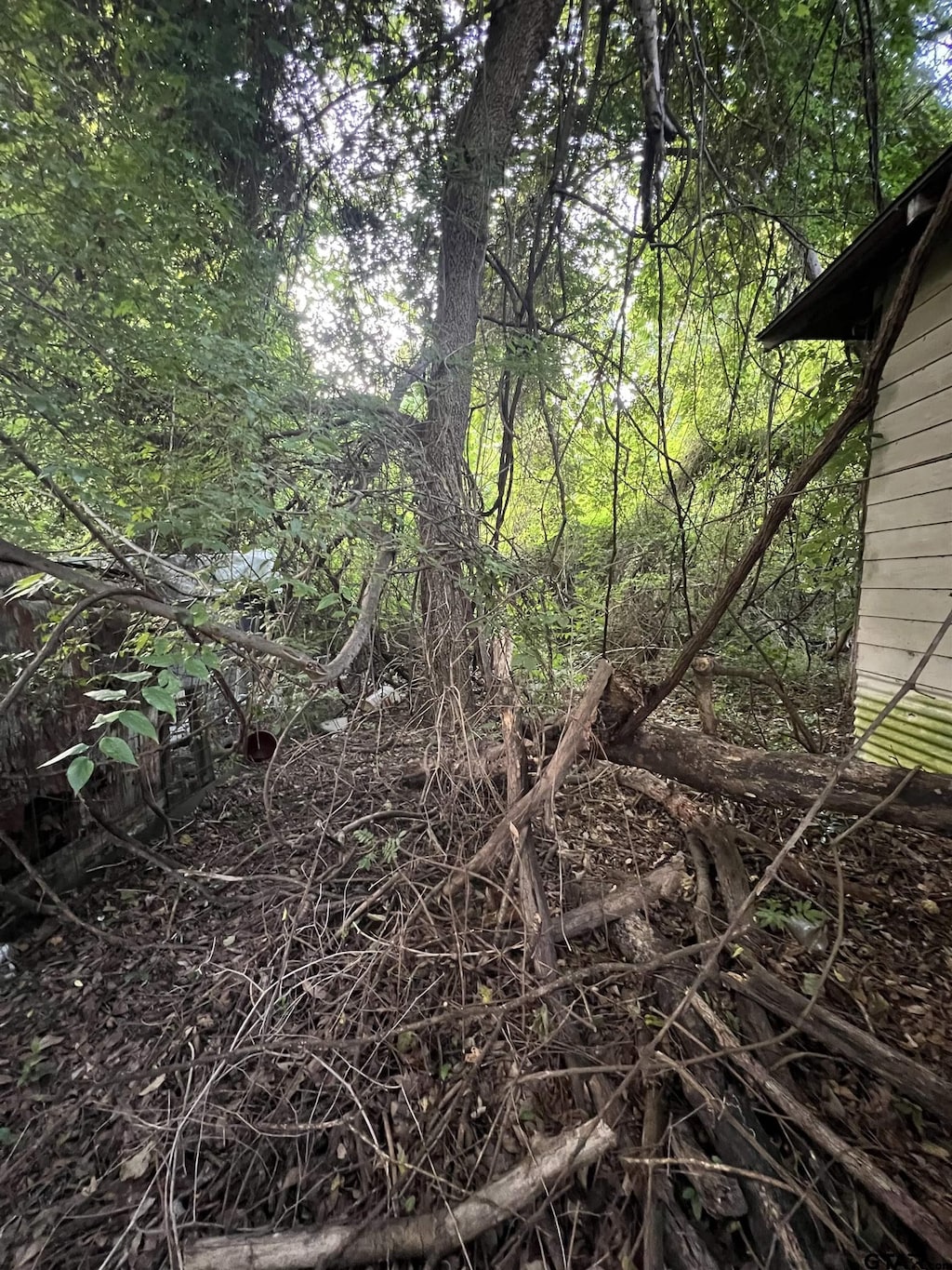 17246 Hillside Dr, Flint, TX 75762 - view of nature