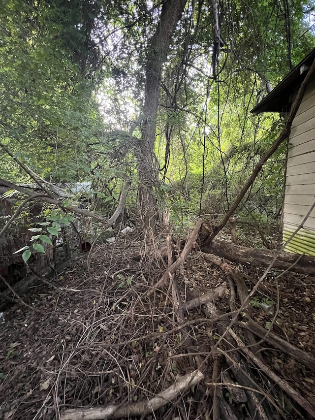 17246 Hillside Dr, Flint, TX 75762 - view of nature