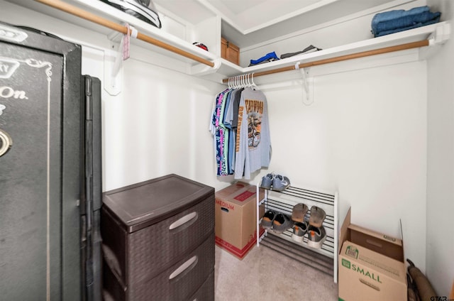 walk in closet featuring light carpet