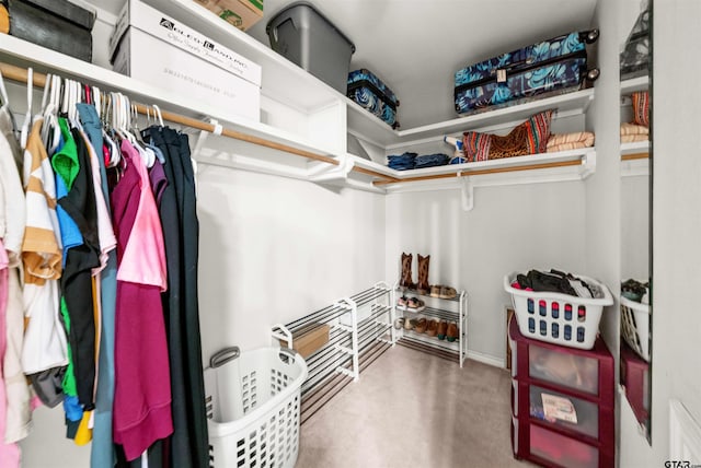 view of spacious closet