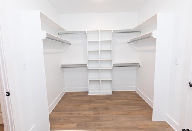 walk in closet with hardwood / wood-style flooring