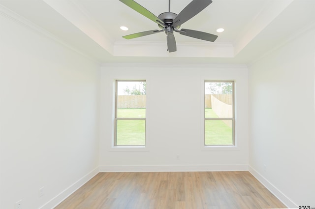 spare room featuring plenty of natural light, light wood-type flooring, and a tray ceiling