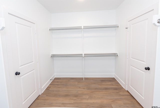 walk in closet with hardwood / wood-style flooring