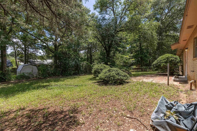 2114 Martin Luther King Blvd, Palestine, TX 75803 - view of green lawn
