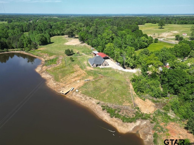 bird's eye view with a view of trees and a water view