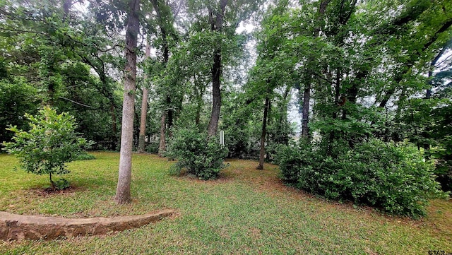 view of green lawn