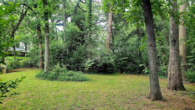 view of green lawn with a view of trees