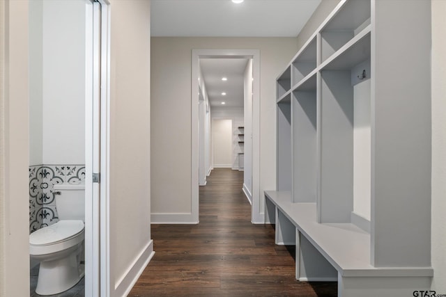 mudroom featuring dark hardwood / wood-style floors