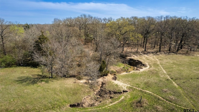 Listing photo 2 for 33ACRES Farm Road 69, Sulphur Bluff TX 75481