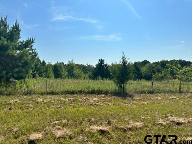 16190 Old New Harmony Rd, Tyler, TX 75701