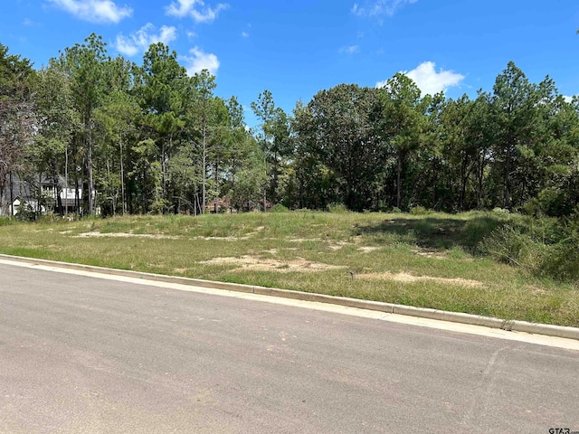 1739 Stonecrest Blvd, Tyler TX, 75703 land for sale