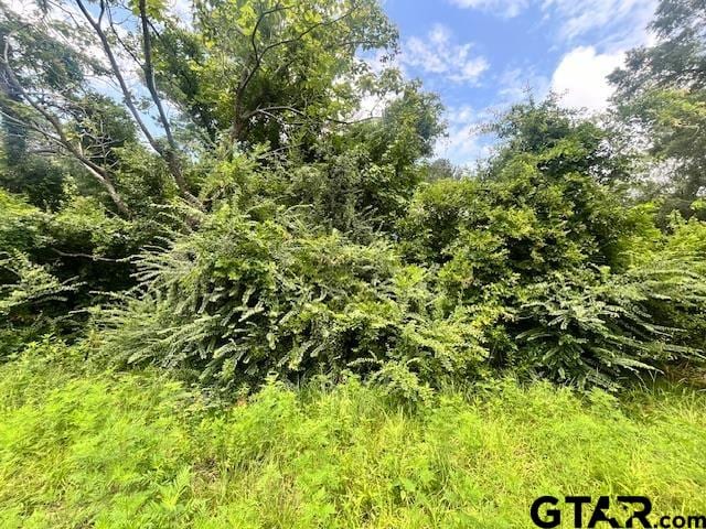 TBDAlma St, Troup TX, 75789 land for sale