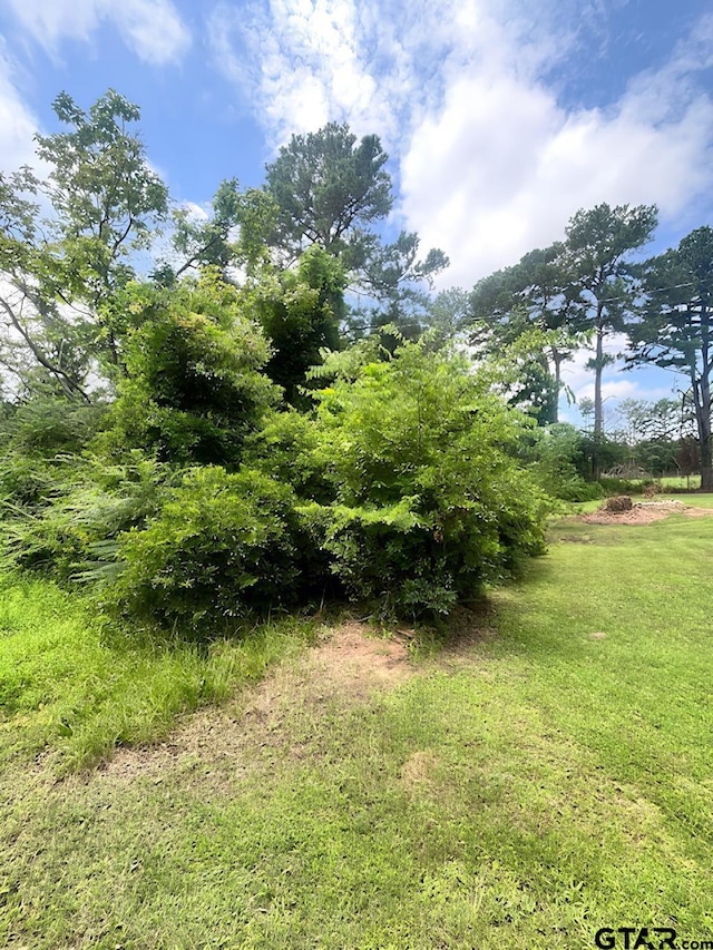 Listing photo 3 for TBDAlma St, Troup TX 75789