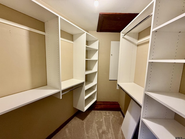 spacious closet featuring carpet flooring