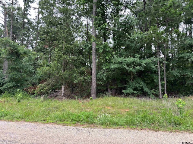 Tbd Crk Unit 2121, Pittsburg, TX 75686